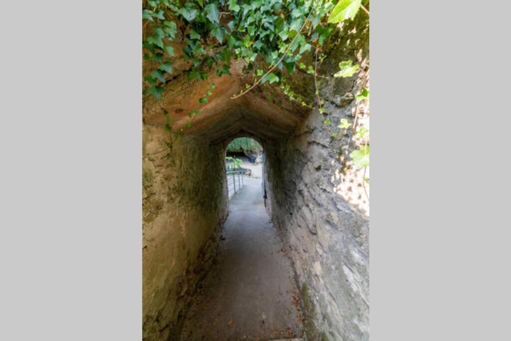 Maison troglodytique Doué La Fontaine Exterior foto